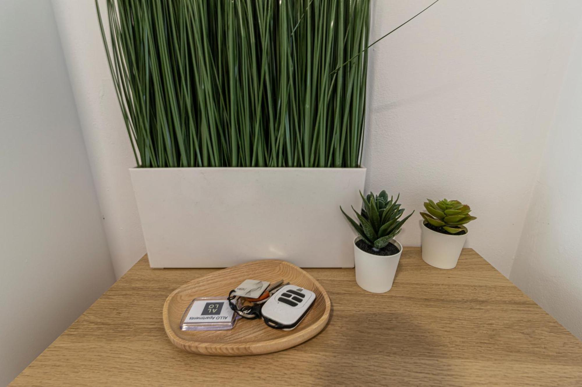 Allo Apartments Arroyo Atico Parking 1 Habitacion Херес-де-ла-Фронтера Экстерьер фото